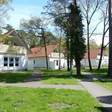 Ferienwohnung Hinter den Dünen D83 Prerow Exterior foto